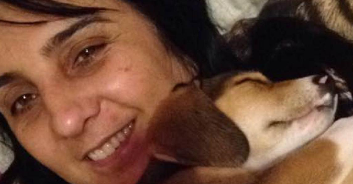 Cadela morre de coração partido um mês após a morte de sua dona amada
