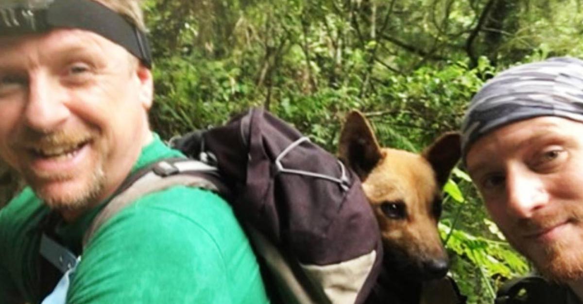 Dois homens andam mais de 12 horas para resgatar cão preso em armadilha