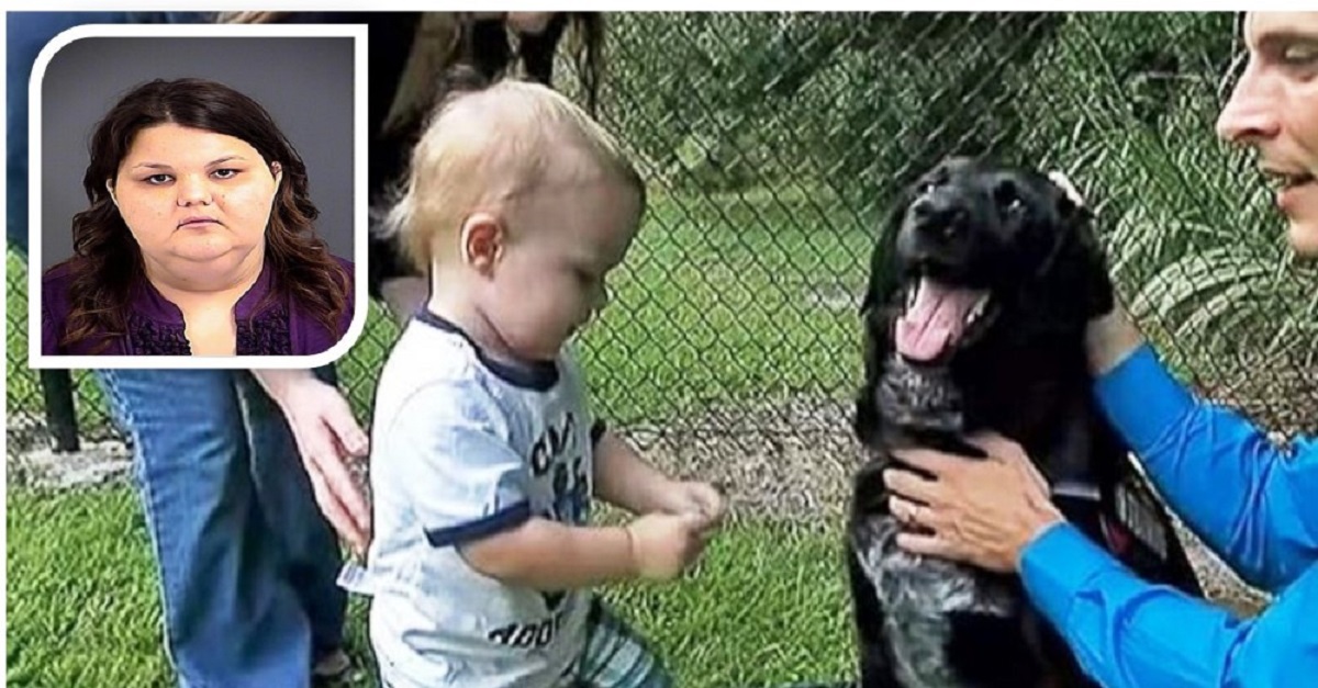 Cão se tornou um herói ao alertar a família sobre a babá que maltratava o bebê