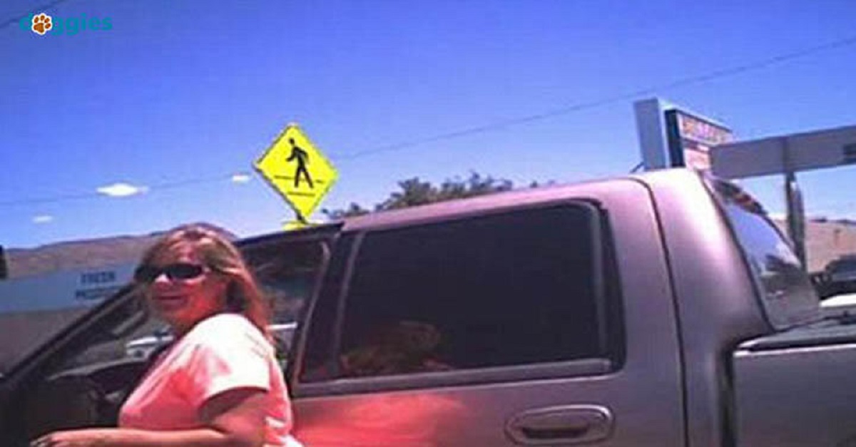 Policial faz mulher sentar no carro quente depois que ela deixou seu cachorro no carro