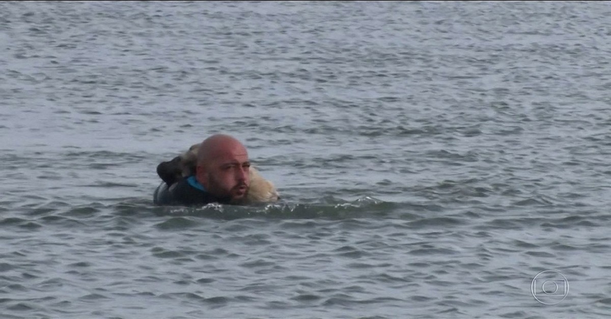 Policial mergulha em lago congelado para salvar cachorro