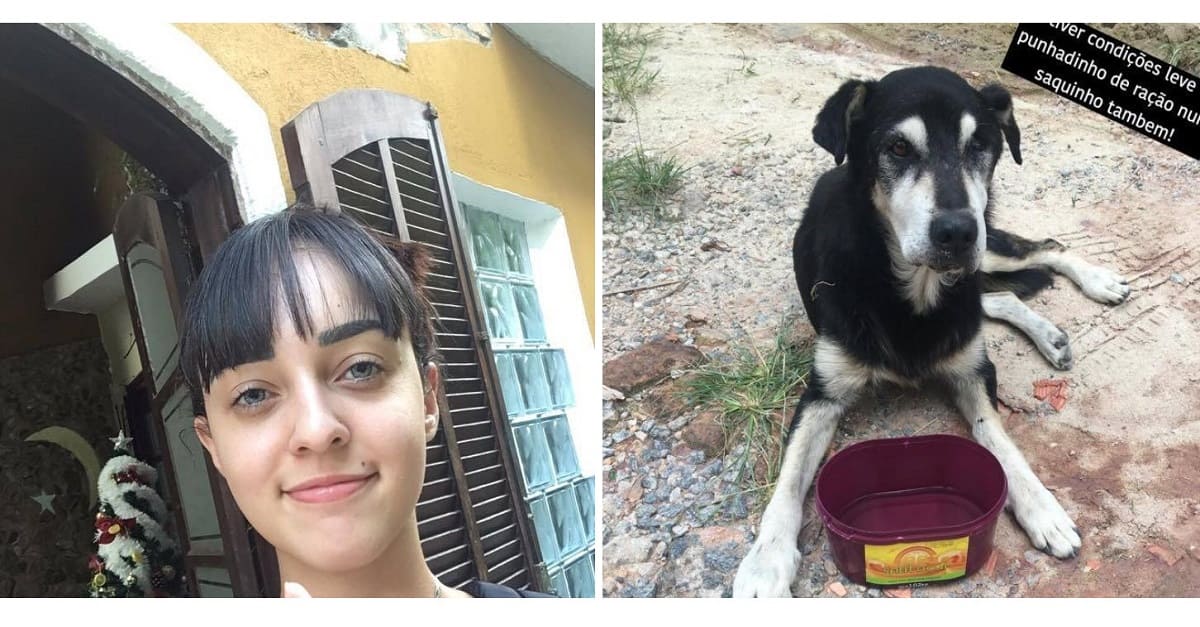 Jovem dá dica para ajudar os cães de rua no verão e viraliza