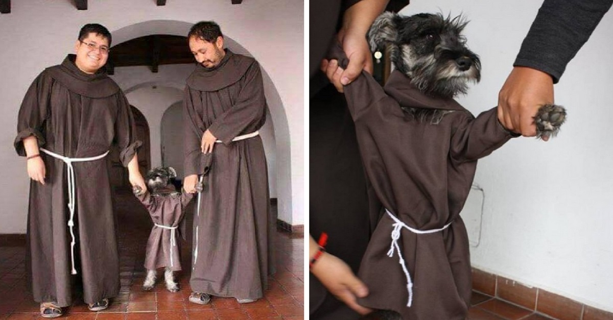 Monges adotam cachorrinho e a internet o batiza de ‘Frei Bigode’
