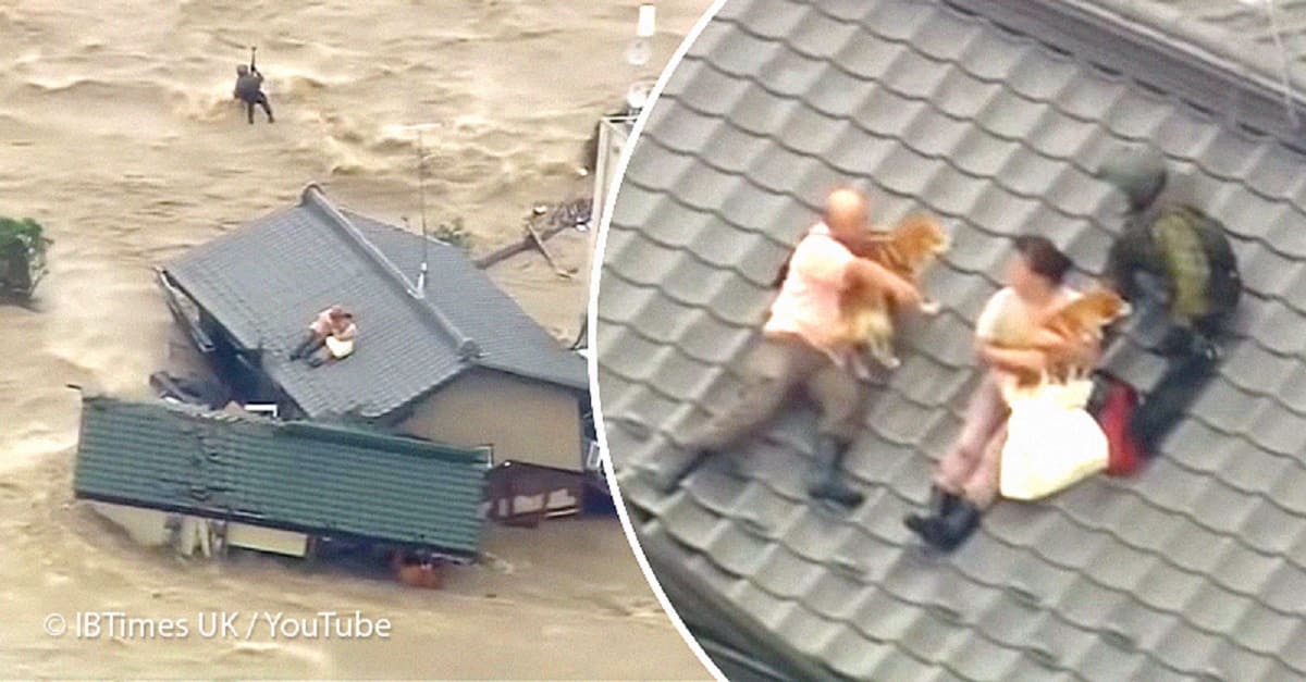 Casal preso em cima de telhado se recusa a ser salvo antes de ver seus cães em segurança também