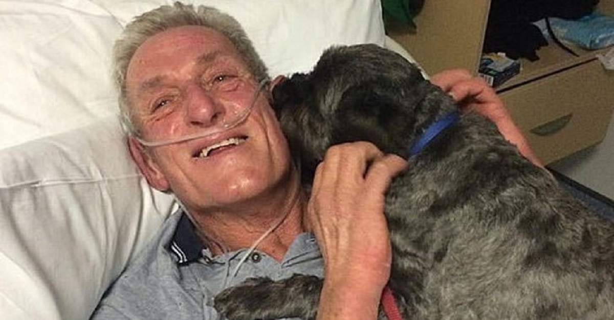 Un anciano sale del coma y dice que fue despertado por los ladridos de su perro.
