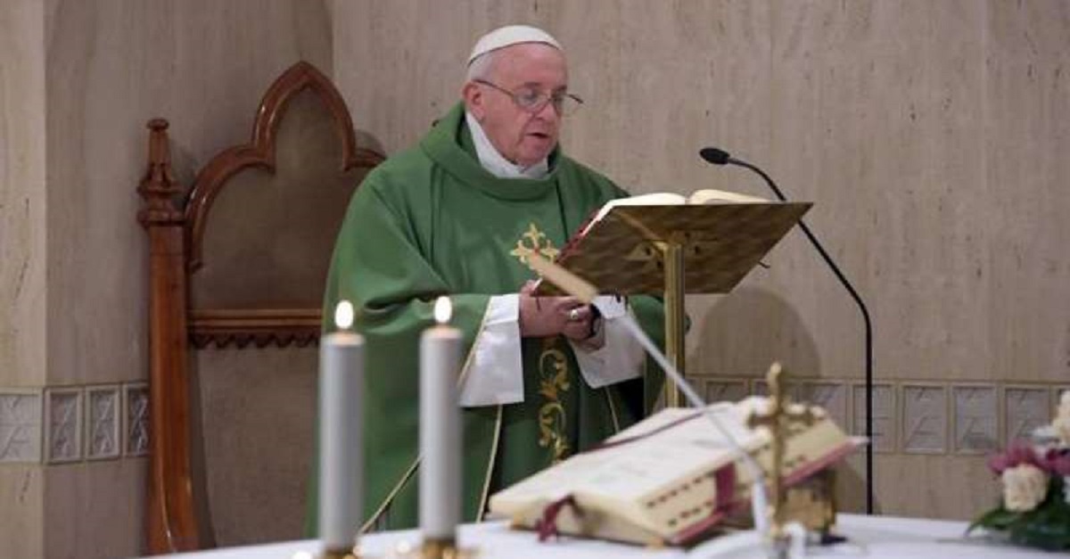 Papa diz que políticos sem sabedoria prejudicam a sociedade