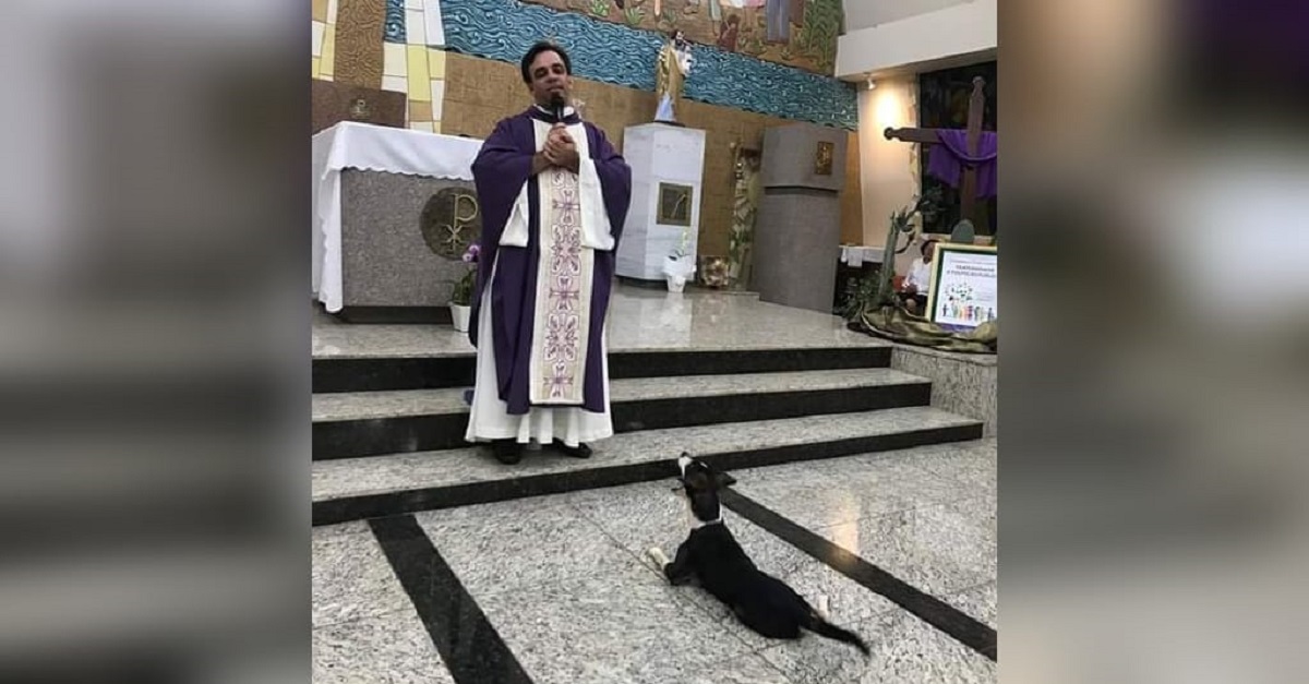 Cão que ‘assiste’ à missa e espera hóstia fica famoso nas redes sociais