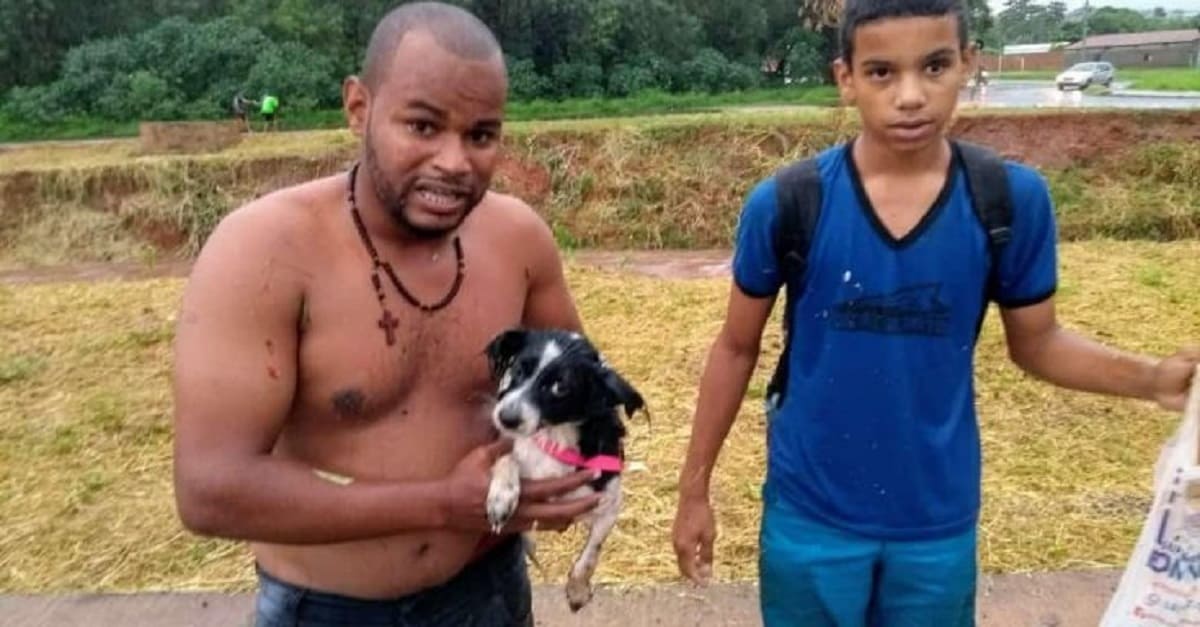 Homem arrisca sua vida para salvar cão que caiu no rio