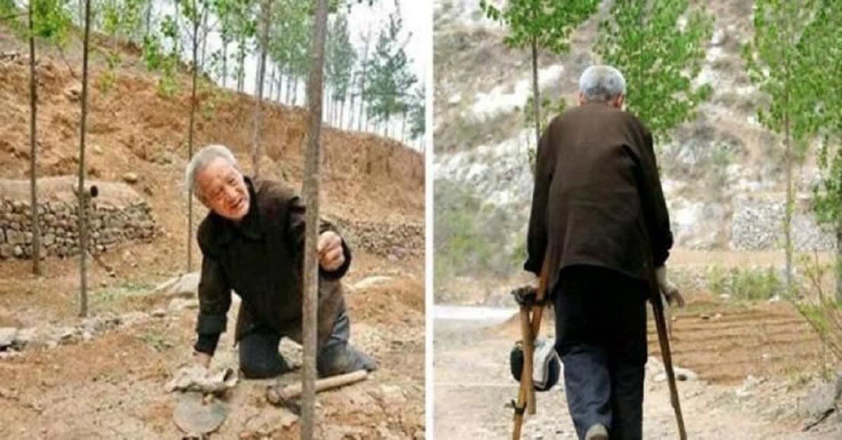 Senhor sem pernas planta 17.000 árvores em 19 anos e salva floresta