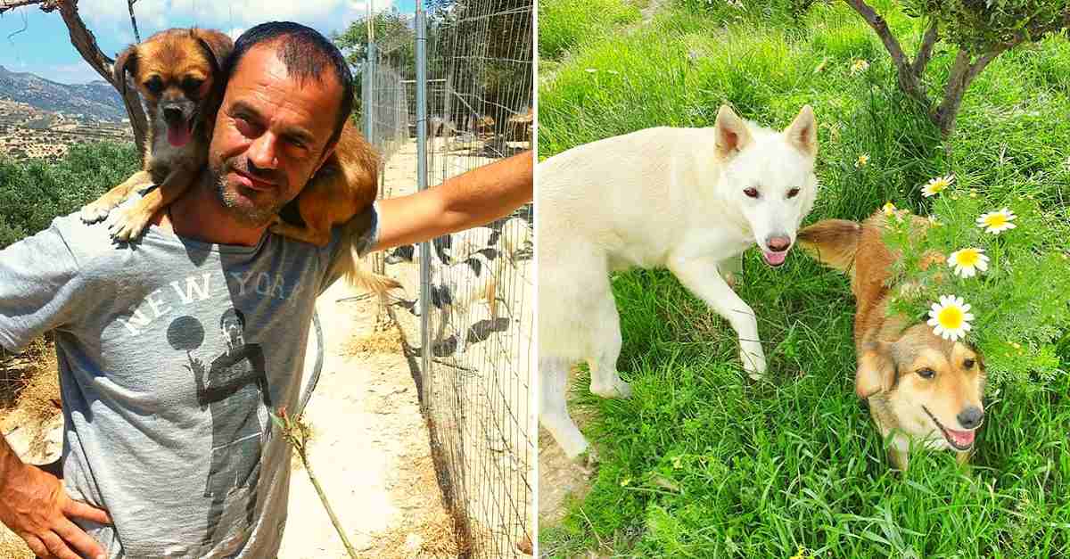 Dentista desistiu da carreira de sucesso para salvar a vida dos cães abandonados