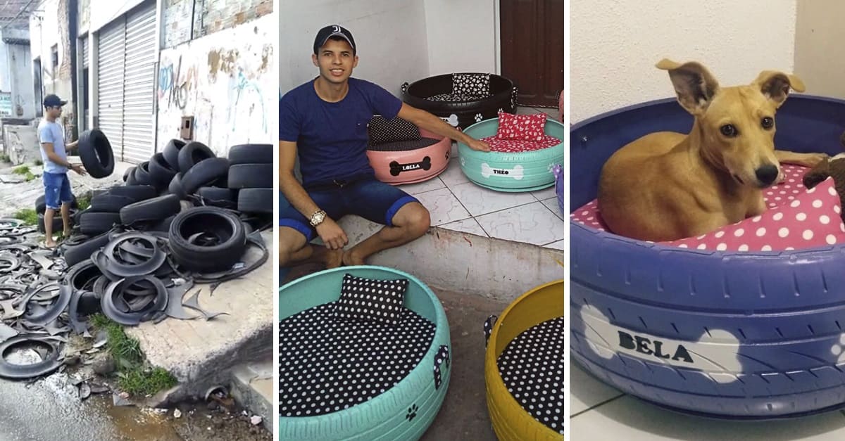 O Jovem paraibano que transforma pneus velhos em caminhas para animais já tem encomendas até em outros países