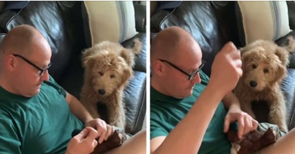 Cão fica preocupado ao ver seu pai realizar uma ‘cirurgia’ em seu brinquedo favorito