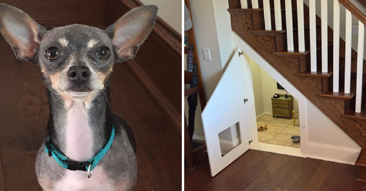 Dona constrói para seu cão um adorável quarto sob as escadas
