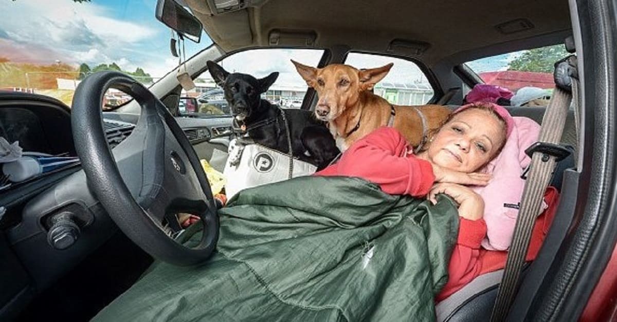 Mulher vive em carro para não abandonar seus cachorros