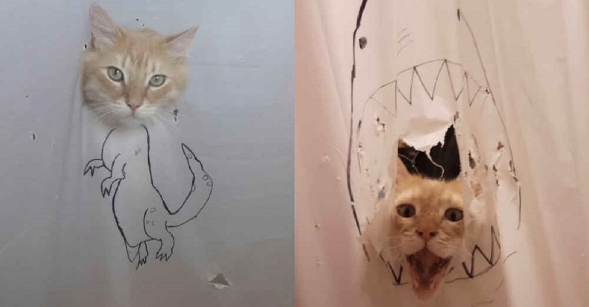 Mulher cria um novo desenho cada vez que seu gato destrói uma cortina de chuveiro