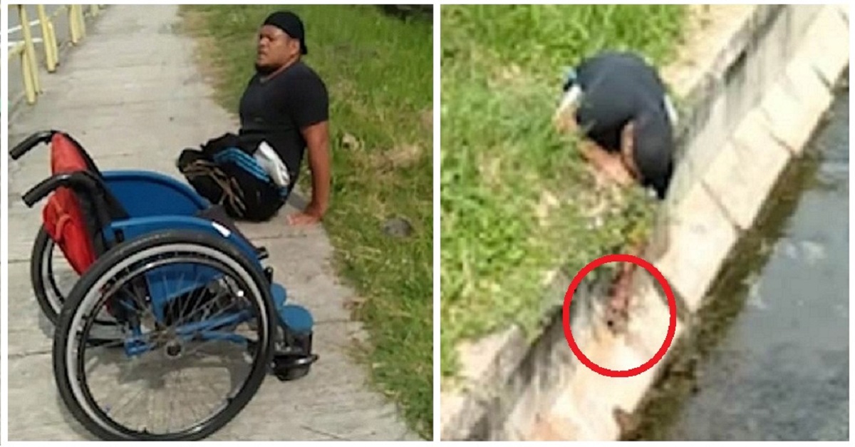 Homem salta da cadeira de rodas e rasteja para salvar a vida de um gatinho