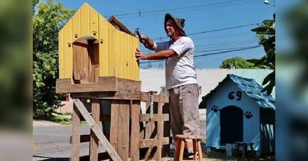 Homem constrói de graça 300 casinhas em um ano para abrigar cachorros de rua