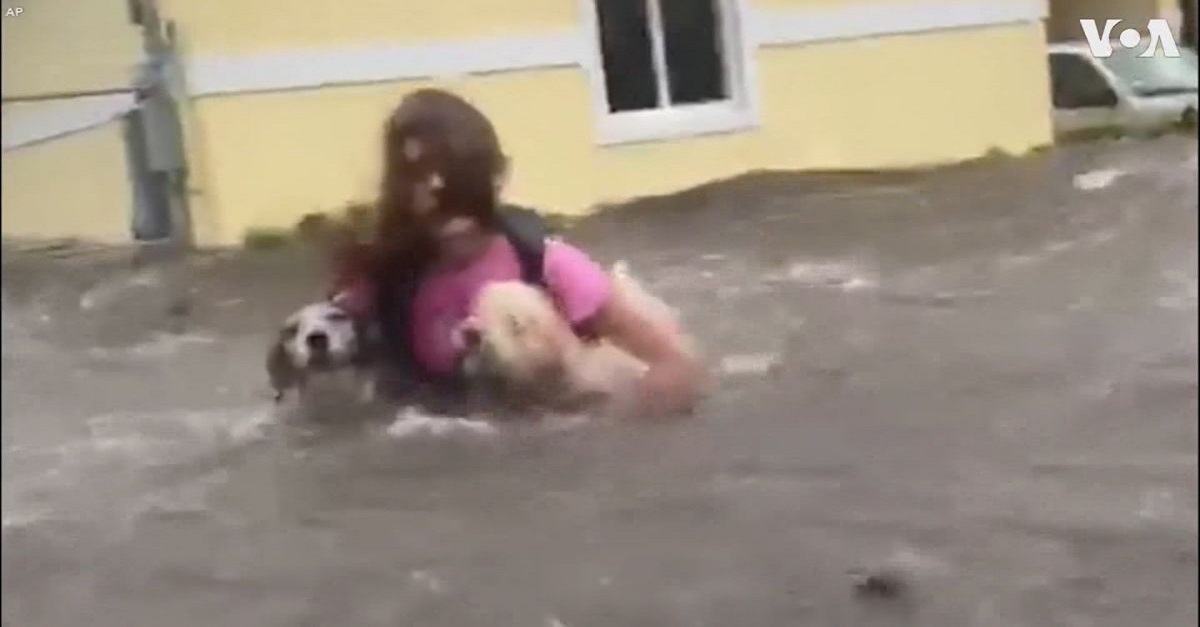 Família se recusa a deixar cães para trás durante passagem do furacão Dorian