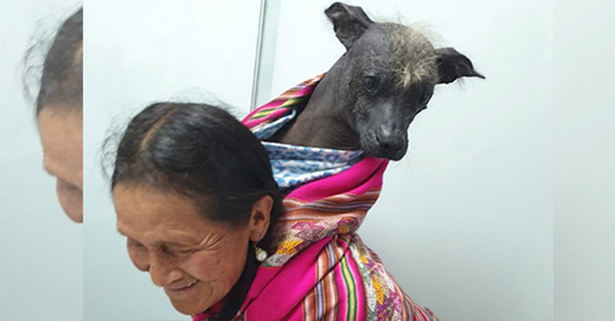 Idosa carrega seu cão nas costas para o levar no veterinário