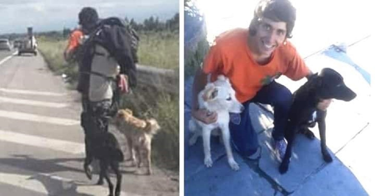 Jovem é forçado a voltar ao seu país andando após resgatar 2 cães abandonados na viagem