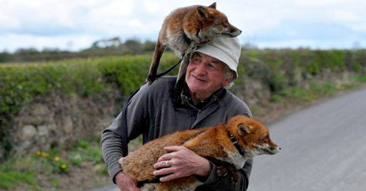 Homem salvou duas raposas e virou o melhor amigo delas