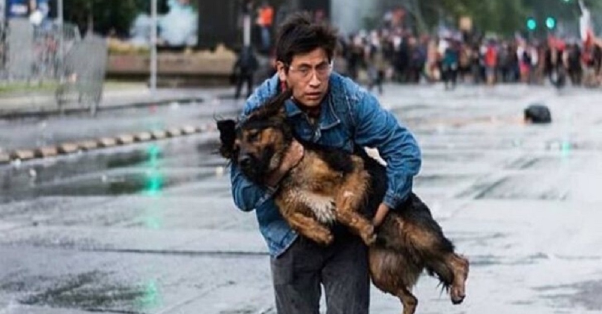 Homem salva cachorro no meio dos protestos no Chile