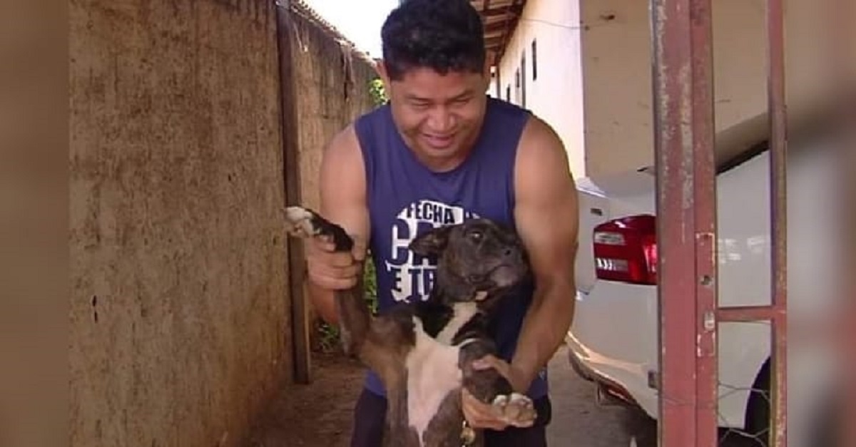 Após esperar um mês por tutor que morreu em hospital, cão é adotado