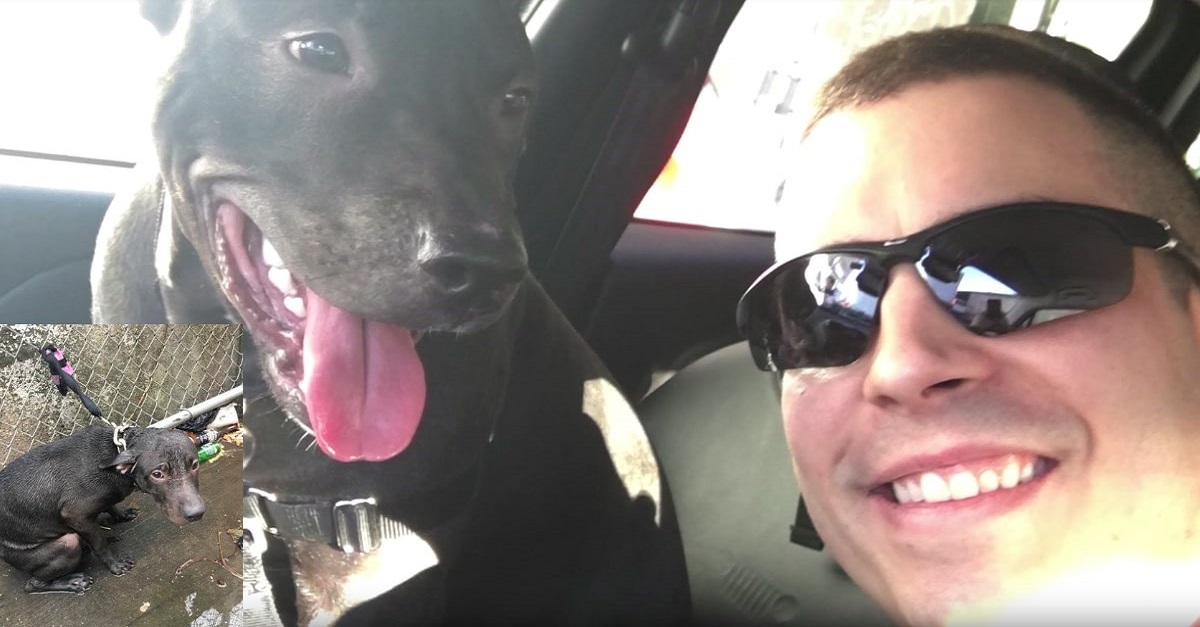 Policial encontra cachorro amarrado na chuva fria, o resgata e se tornam melhores amigos