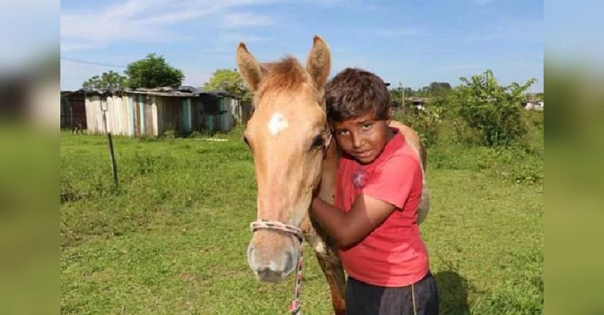 Menino pede milho para o Papai Noel para alimentar o seu cavalo