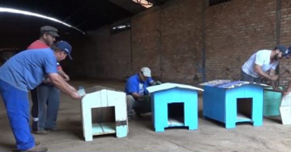 Marceneiros fazem casinhas de cachorros e doam para ONGs