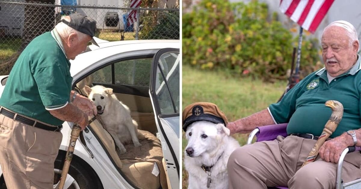 Vovô de 93 anos adota cãozinho idoso que seria sacrificado porque ninguém queria adotá-lo