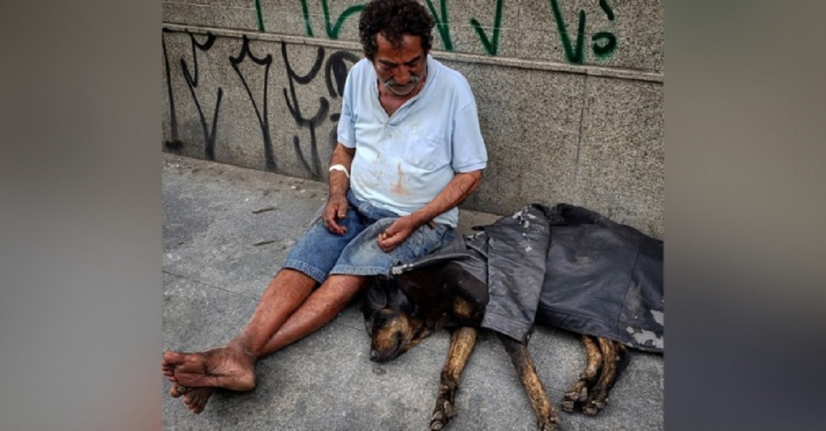Morador de rua dá seu único casaco para proteger seu cachorro do frio