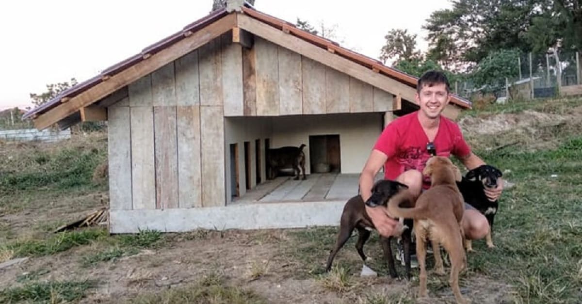 Grupo de voluntários construiu “cãodomínio” para cães abandonados
