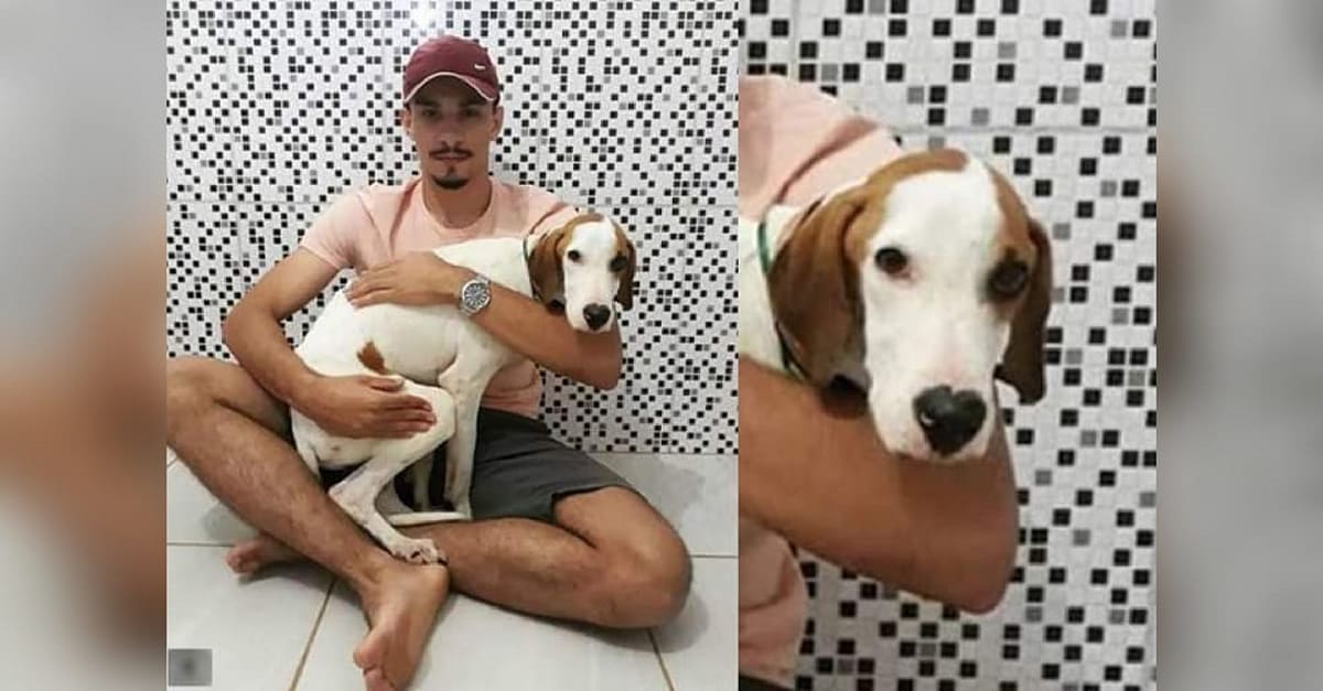 Estudante de medicina veterinária adota cão que salvou com parada cardíaca na rua