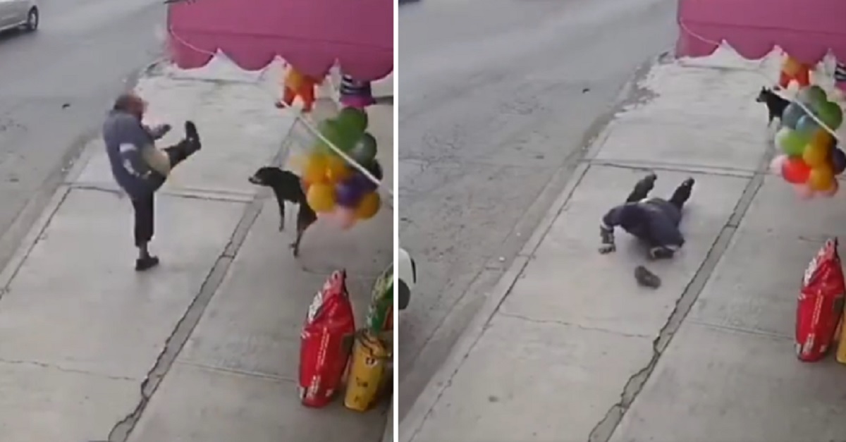 Homem cai ao tentar chutar cachorro que latiu para ele e vira piada na Internet