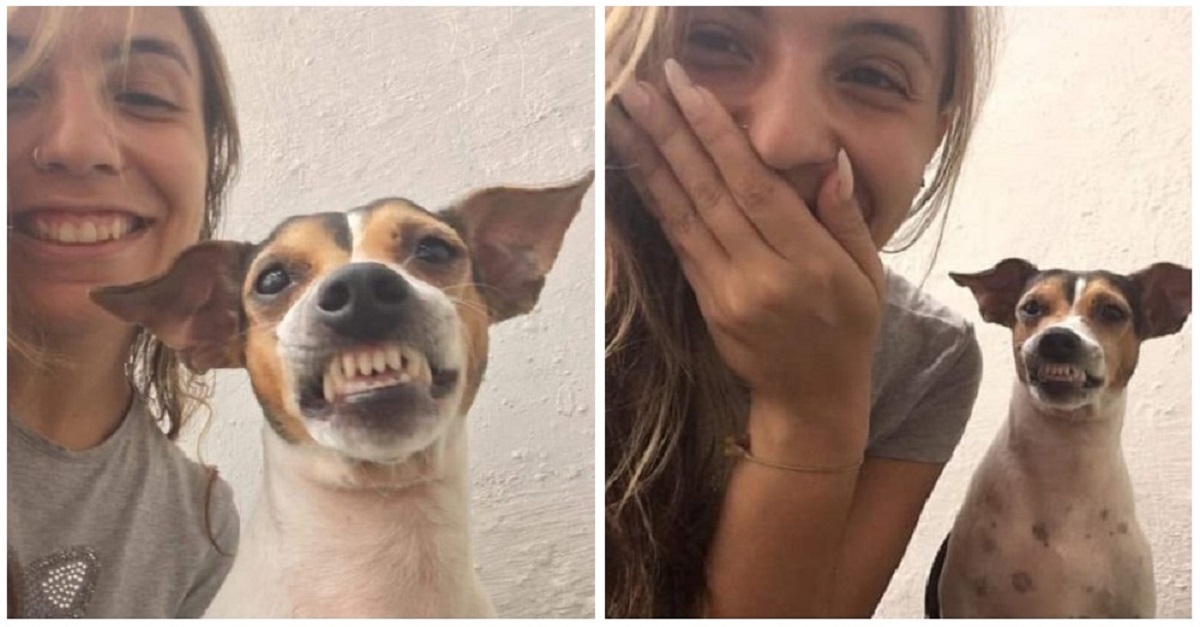 Cachorrinha de abrigo sorri ao tirar selfie com sua cuidadora voluntária