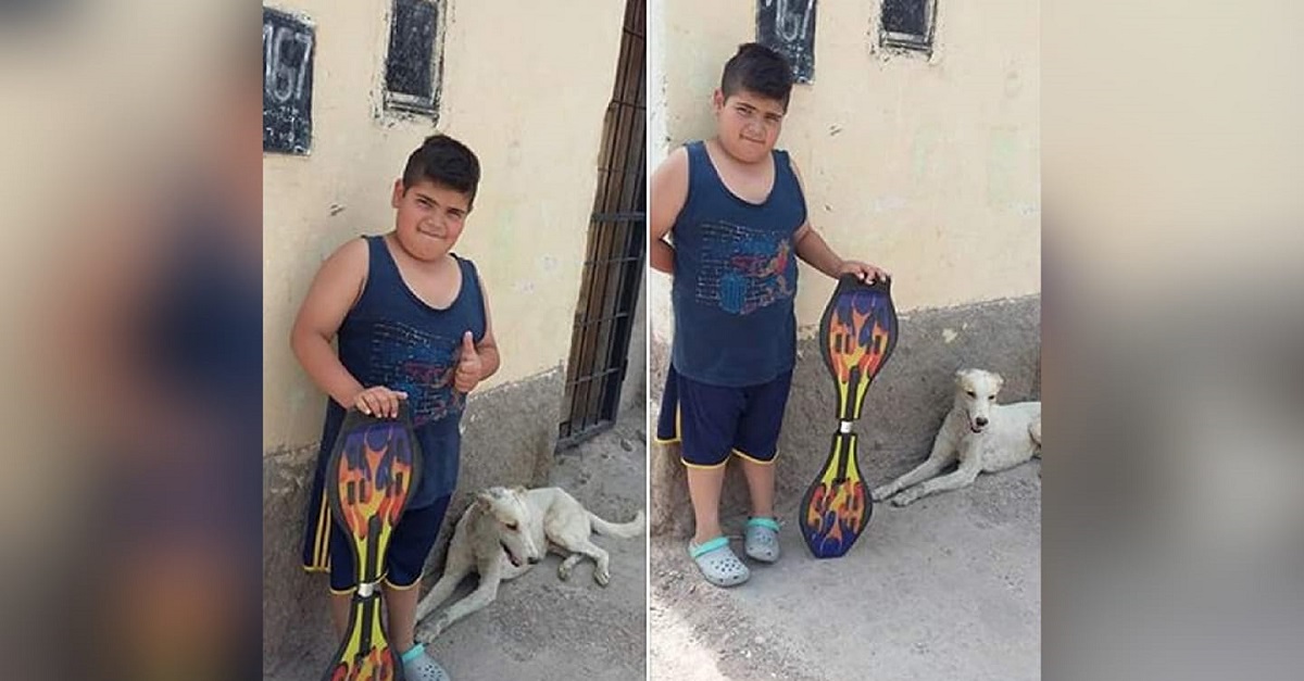 Menino coloca skate à venda no Facebook para levar cão abandonado ao veterinário