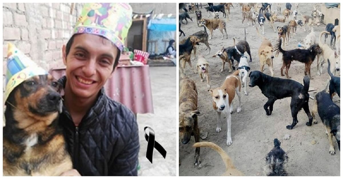Morre o jovem que implorou por ajuda para seus 90 cães resgatados