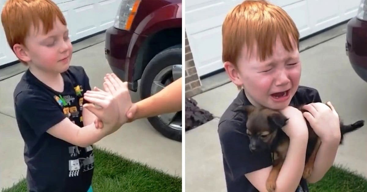 Garotinho chora de alegria ao ganhar um cãozinho de sua avó