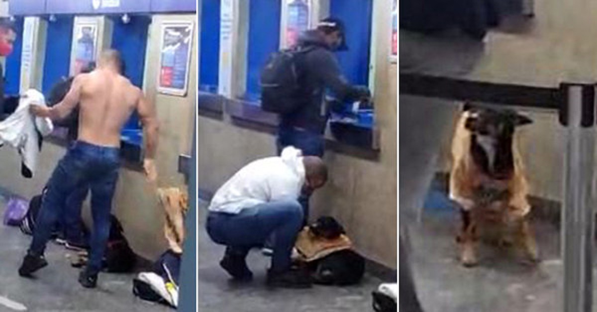 Homem é filmado tirando a camiseta e vestindo em cachorro que passava frio no metrô