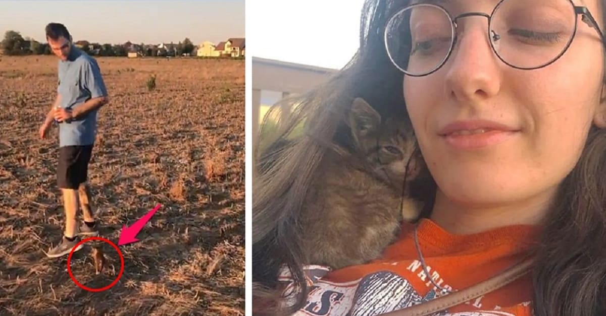 Gatinha abandonada em um campo corre atrás de casal para ser adotada