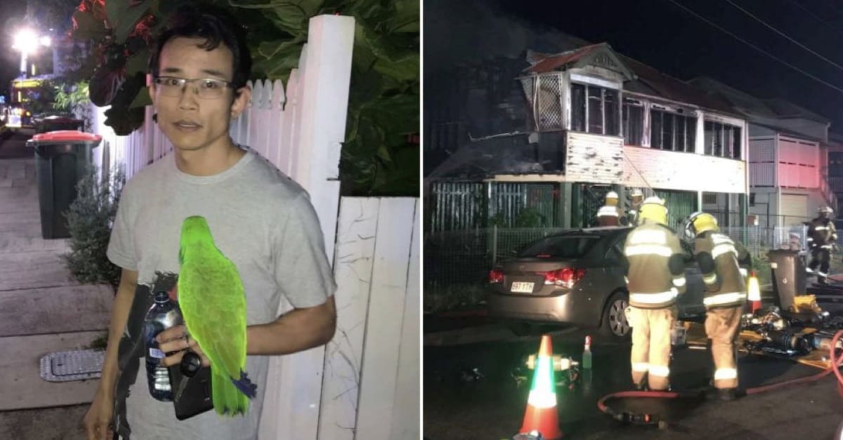 Papagaio de estimação salva o dono de incêndio em casa gritando seu nome