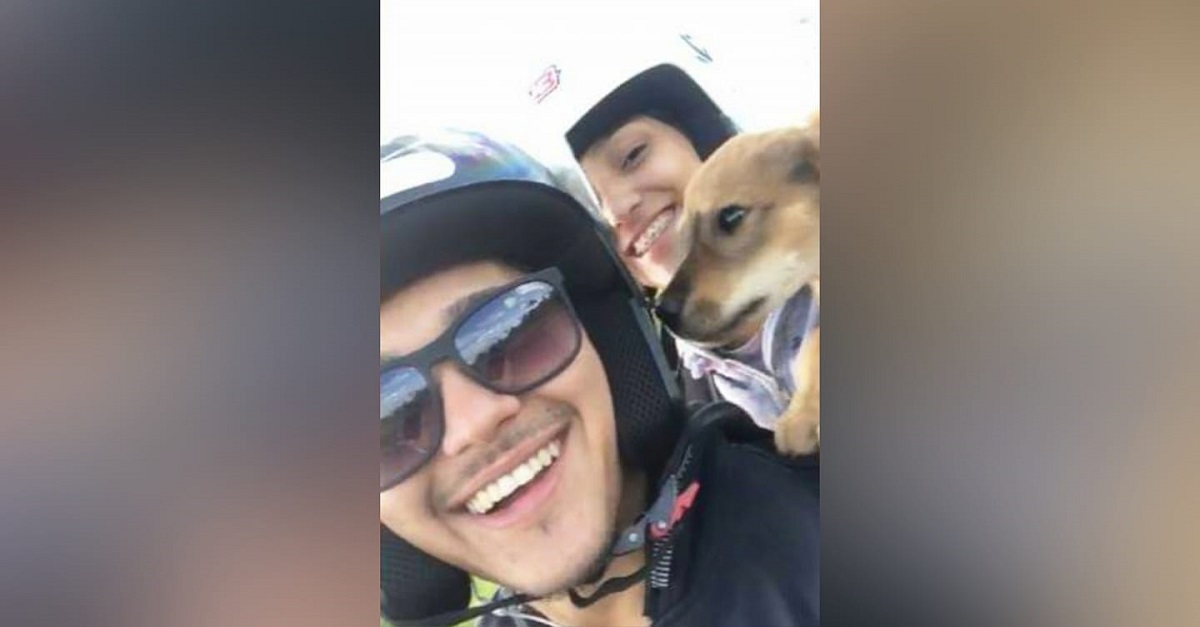 Casal de moto resgata cão que saiu do mato: ‘Tinha fome e tremia’