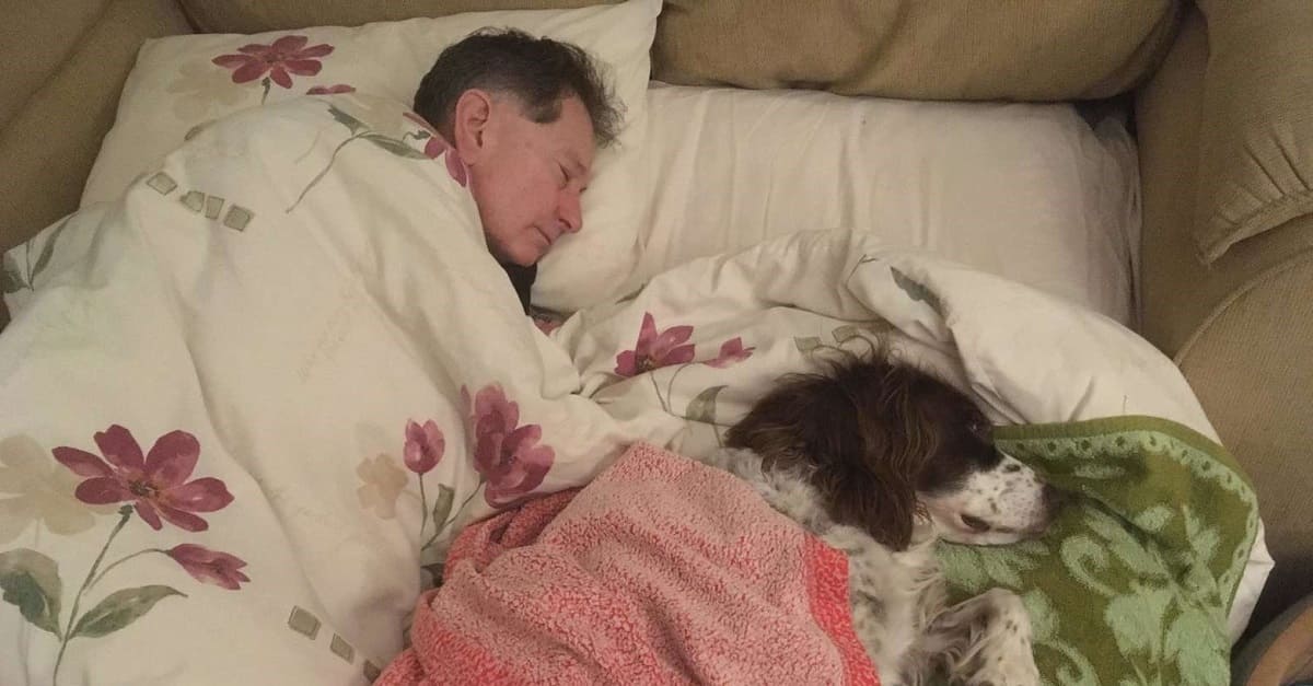 Homem dorme no andar de baixo no sofá com cachorro idoso e doente para lhe fazer companhia