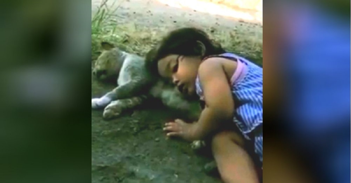 Mãe chega em casa e encontra filha dormindo com a cabeça em cima de uma gata de rua morta
