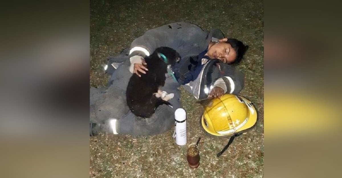 Bombeira exausta adormece ao lado do cachorrinho que ela salvou do fogo