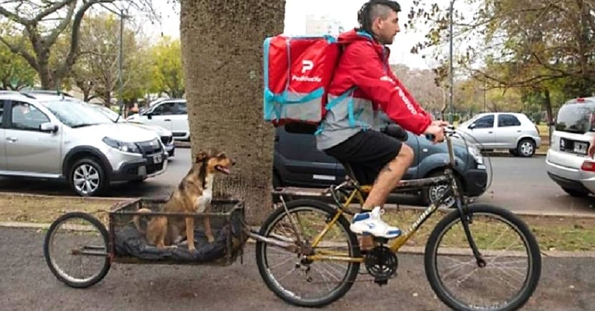 Entregador adaptou sua bicicleta para levar seu cachorro resgatado para todos os lugares