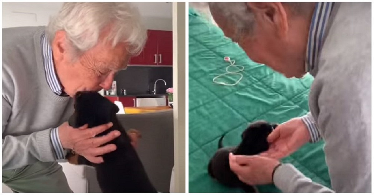 Avô de 91 anos chora quando o neto coloca um cãozinho em suas mãos