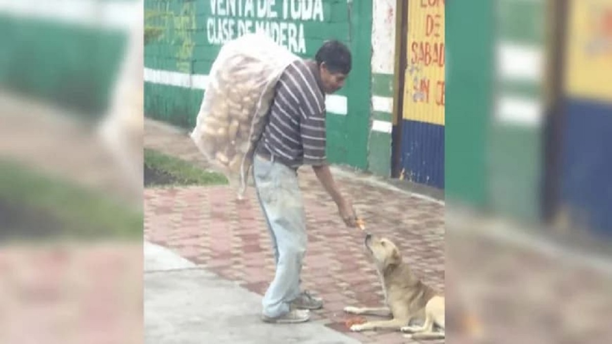 Homem usa o pouco dinheiro que tem para alimentar animais de rua