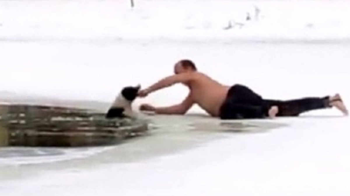 Homem se arrisca para salvar cachorro que estava se afogando em lago congelado